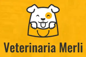 Clínica Veterinaria Cabrera